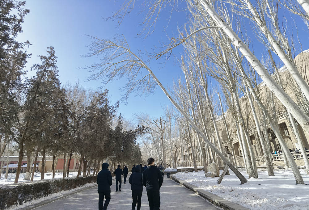 敦煌研学旅行：带孩子走进丝路 - 驼达达国际旅行社